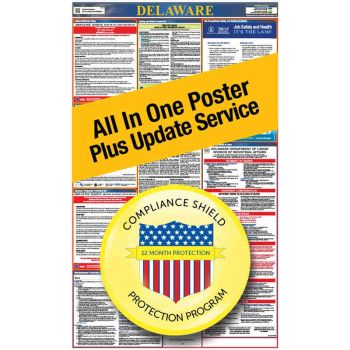 Delaware All In One Poster + 1 Year Replacement Poster