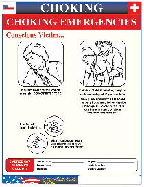 Florida Choking Poster