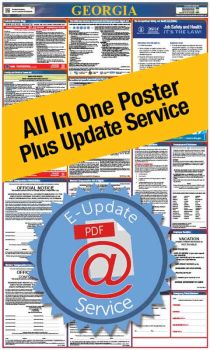 Georgia All In One Poster + 1 Year E-Update Service
