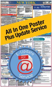 New York All In One Poster + 1 Year E-Update Service