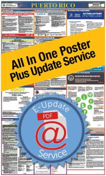 Puerto Rico All In One Poster + 1 Year E-Update Service - Spanish